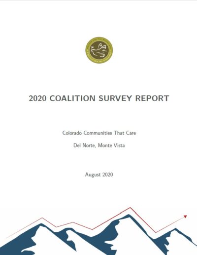 2020 Coalition Survey Report